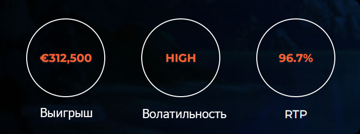 Характеристики Winterberries.